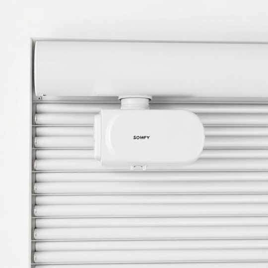 Moteur Somfy pour volet roulant